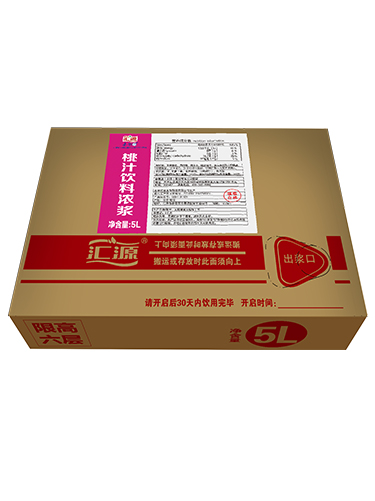 匯源橙汁飲料濃漿_5L-10%桃