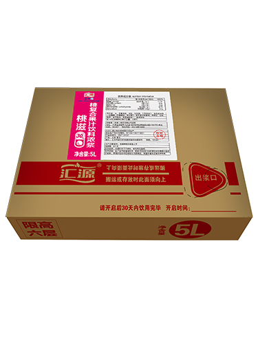匯源橙汁飲料濃漿_5L-30%橙意_副本